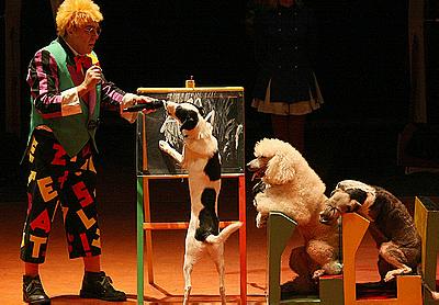 Circus kutya, hogy egy nő - csak!