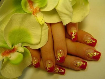 Nails tervezés 2018 130 kép rajzok a körmök (fotó) Nail Design 2018 130 kép rajzok a körmök