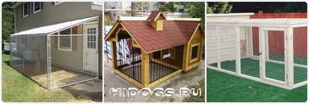 Ház Chihuahua, hogyan lehet egy madárház és egy kis házat egy kutya (fotó)