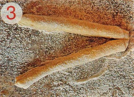Forma tekercs hogyan lehet szép formájú zsemlét élesztőből tésztát