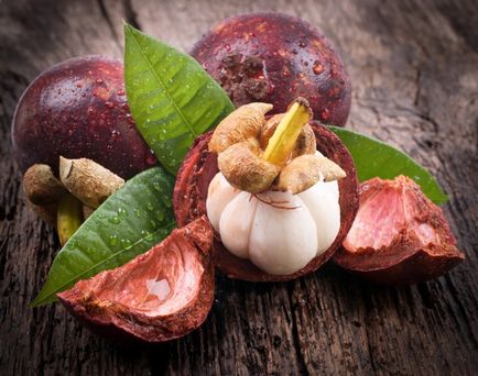 Mangosztán gyümölcs hasznos tulajdonságok és ellenjavallatok, a hivatalos honlapján receptek Julia