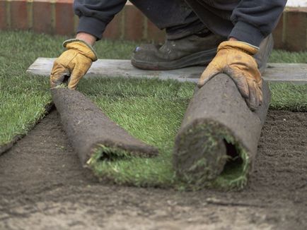 Lawn kezüket fotó, videó használati