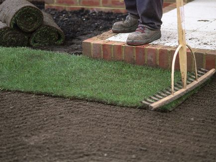 Lawn kezüket fotó, videó használati