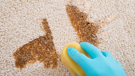 Hogyan lehet hatékonyan tisztítani a szőnyeget otthon