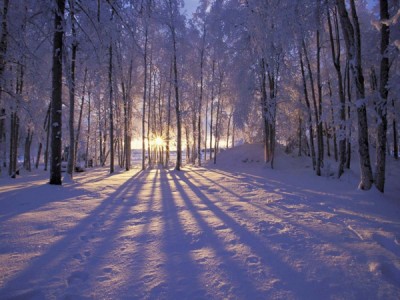Hogyan lehet fényképezni a szelíd téli hó és fagy> Digitális fényképezés