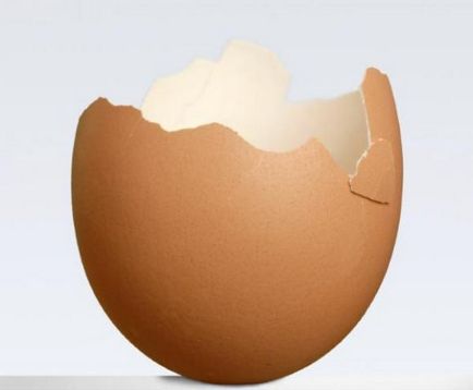 Hogyan kell használni a tojáspor