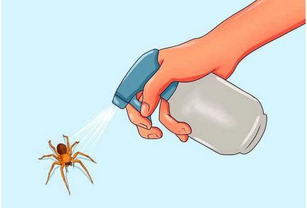 Hogyan lehet megszabadulni a pókok 14 alapok