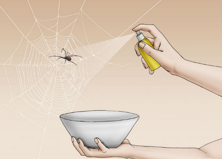 Hogyan lehet megszabadulni a pókok 14 alapok