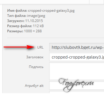Hogyan rendezzük el a címeket a helyszínen kész stílusok fejlécek, seo blog lusta (fejlécek) Hogyan rendezzük el a címeket a helyszínen kész címsor stílusok, seo blog lusta