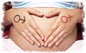 Hogyan lehet megtudni a szex a gyermek a terhesség korai szakaszában
