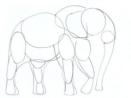 Hogyan kell felhívni egy elefánt, elefánt rajz állapotok ceruza