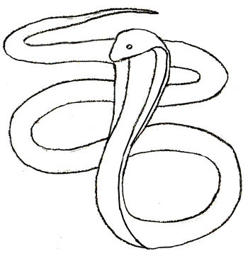 Hogyan kell felhívni a kígyó, kobra rajz szakaszában ceruza