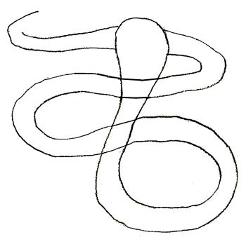 Hogyan kell felhívni a kígyó, kobra rajz szakaszában ceruza