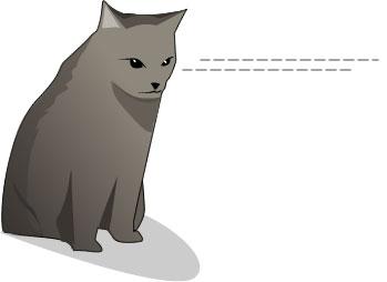 Hogyan állapítható meg, hogy mi a macskát akar ölni, zoonovosti