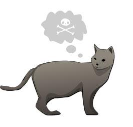 Hogyan állapítható meg, hogy mi a macskát akar ölni, zoonovosti