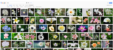Hogyan állapítható meg, a név a növény egy fénykép vagy egy internetes program