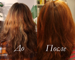 Hogyan festeni a haját hennával a különböző színek és árnyalatok, a ház
