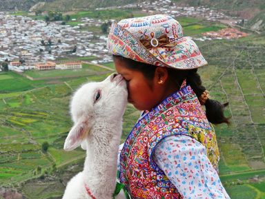 Hogyan lehet eljutni a Titicaca-tó