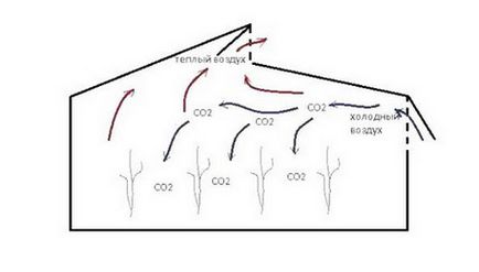Hogyan kell szellőztetni az üvegházhatást polikarbonát, polikarbonát szól - az összes polikarbonát