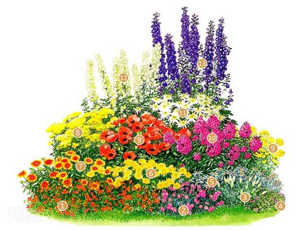 Hogyan készítsünk egy virágágyásba és növényi virágok, virágzó egész nyáron