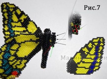 Hogyan szőni fecskefarkú pillangó gyöngy - Master Class, édes otthon - Kézzel készített kézműves és ötletek