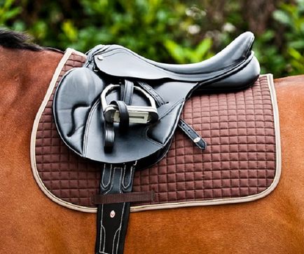 Hogyan varrni egy saddlecloth és nyereg takaró ló saját kezűleg