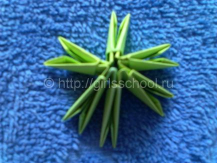 Cactus origami modulok lányok iskolai