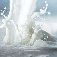 Hogyan lehet eltávolítani a szaga tej, ötletek háziasszonyok