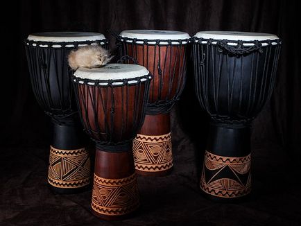 Hogyan válasszuk ki a djembe dob minden! (Djembe erőteljes hang) Hogyan válasszuk ki a djembe dob minden!