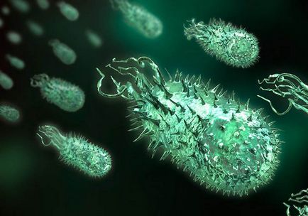 Hogy csírák és baktériumok - mentes fotók Pharmaceutical Keresés