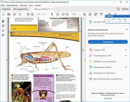 Hogyan húzza a képet pdf