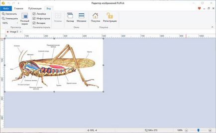 Hogyan húzza a képet pdf