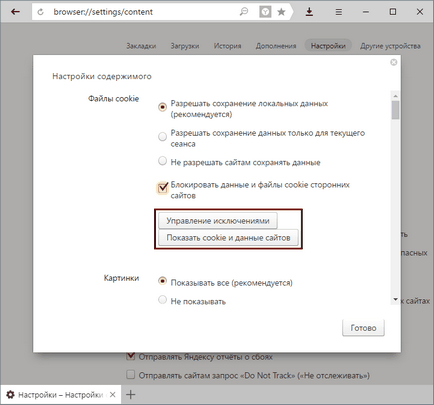 Hogyan lehet engedélyezni a cookie-k Yandex Böngésző 1