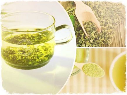 Hogyan sört zöld tea - szép funkciók és titkok az ital elkészítése