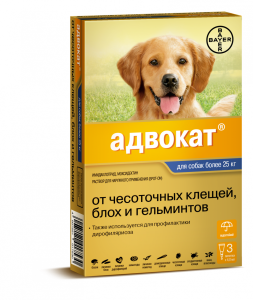 Csepp kullancsok ellen kutyák számára - megvizsgálja, hogy az ár, mi jobb választani és a használati utasítást