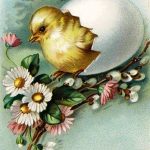 Fotók csibék óvodások, Húsvét a héj 100 fotó, decoupage ábécé (kép) Fotók csibék óvodások, Húsvét a héj 100 fotó, ABC decoupage