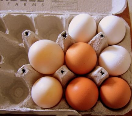 Kartonok tojás 13 szokatlan módon használja őket