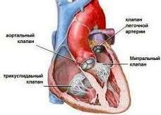 Szívbillentyűk - mesterséges szívbillentyűket