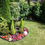 Virágoskert a kertben (45 fotó) szálloda gyönyörű, kerítések, gondolatok, képek és videók