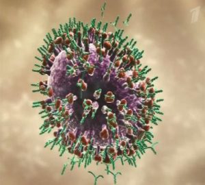 Kanyaró immunitás - főleg vírus, a formáció a mentelmi