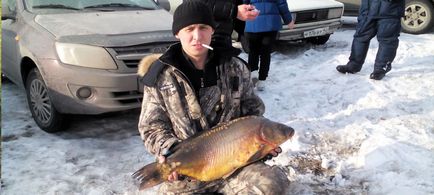 Feeder etető a fotó a kezét áramkör videó