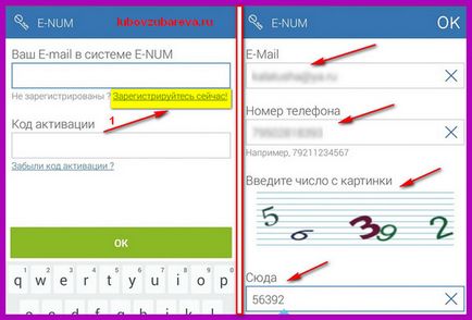 pénztárca WebMoney (WebMoney) kapcsolat szolgáltatás e-num, erősítse meg a műveletet, blog Lyubovi Zubarevoy