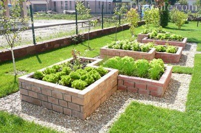 Parkosítás a kezüket kert kialakítása és elrendezése