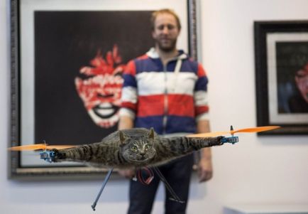Repülő macska motorral - a horror Amszterdam - hírek képekben