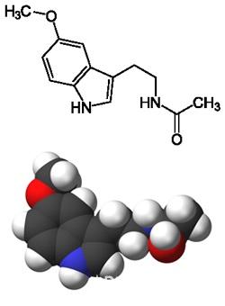 A melatonin az alvás támogatás, és nem csak - hasznos cikkek, tippek