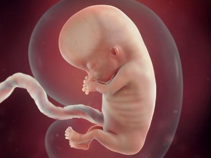 Lehet összetéveszteni ultrahanggal a gyermek neme, melynek futamideje hibastatisztikák