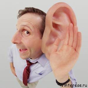 szerve hallás - az emberi fül