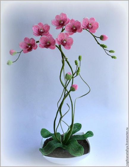 Orchideák bead mester osztály és a szövés rendszert a kezdők