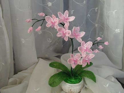 Orchid gyöngy szövés rendszer, fotók és videók u