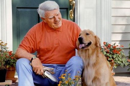Mi határozza meg a megfelelést a kutya és a személy életkorát